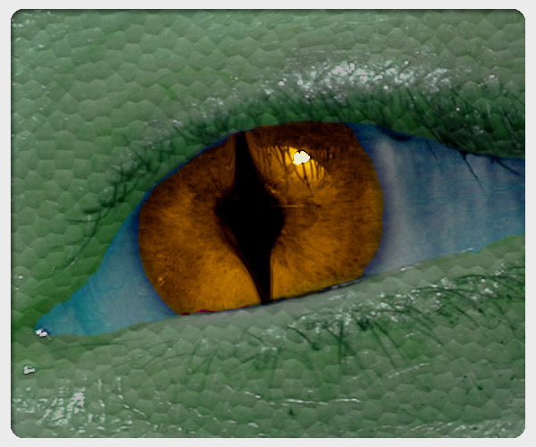 Eye of the dragon