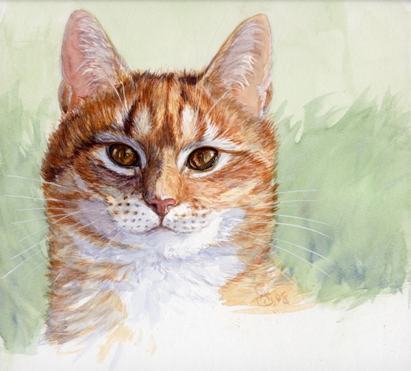 Red cat portrait