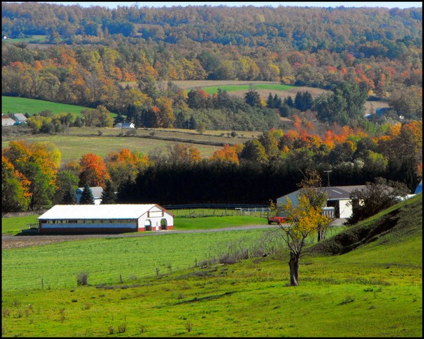 Rural Colors