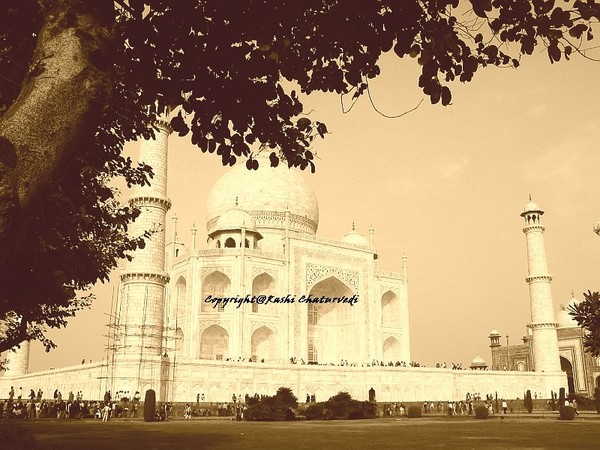 Taj Mahal in Black n White