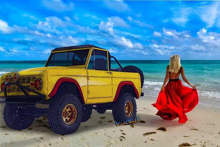 Wandering Beach Girl and Yellow Bronco