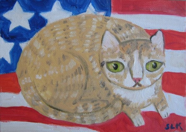 All American Cat