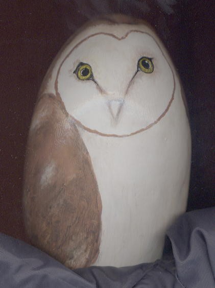 Gourd Owl