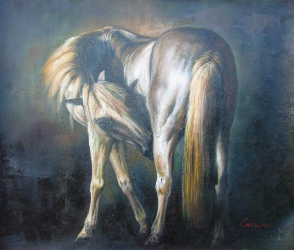 Horse's Portrait