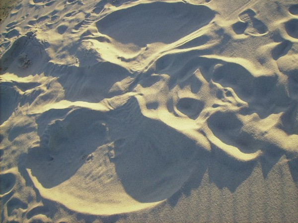 sand angel