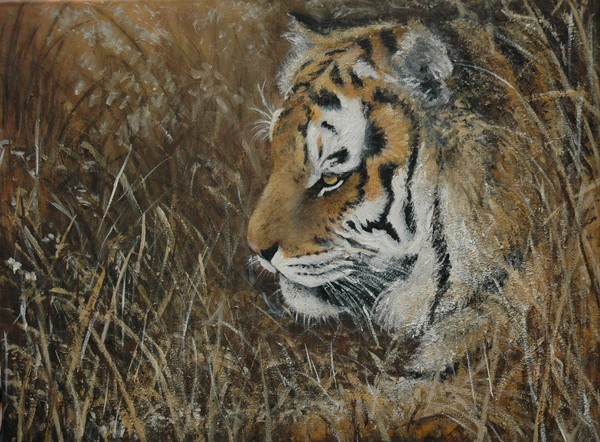 Tiger - SOLD