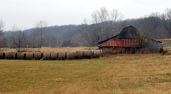 Pea Ridge Ar