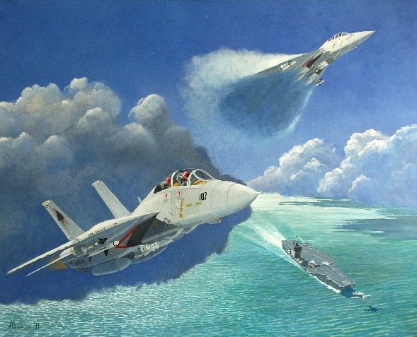 F14 Tomcats VF 41