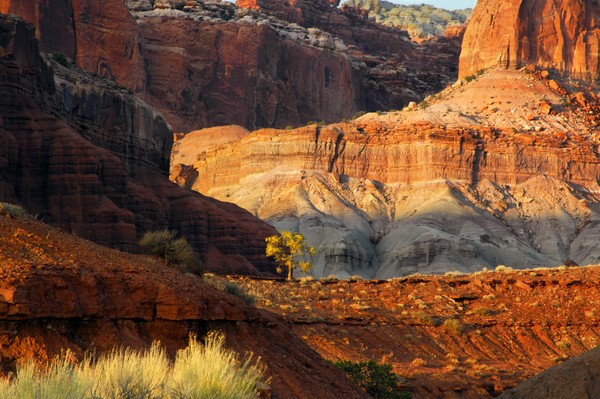 Cascading Cliffs