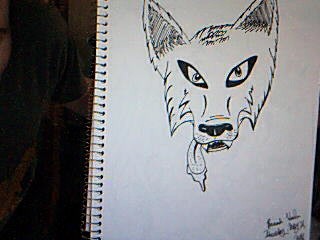 Coyote/Wolf