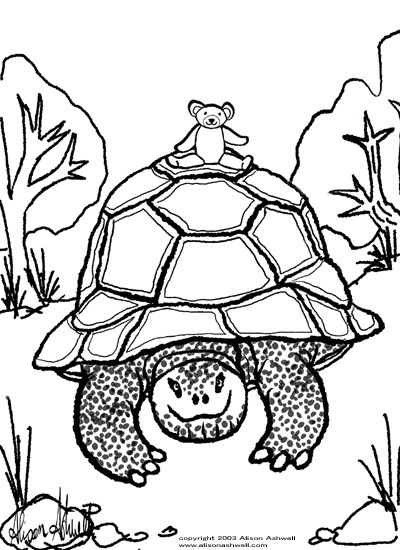 Teddy with giant tortoise