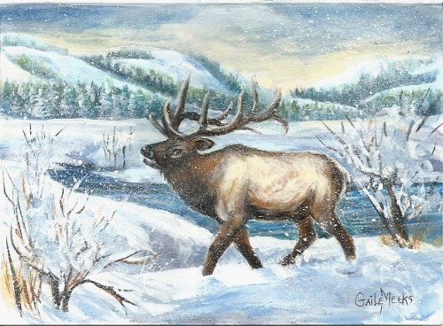 elk5