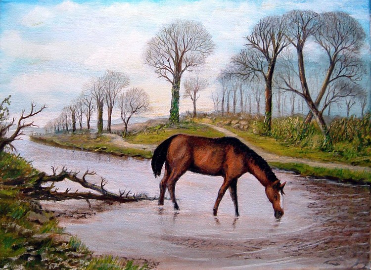 Horse Drinking in river