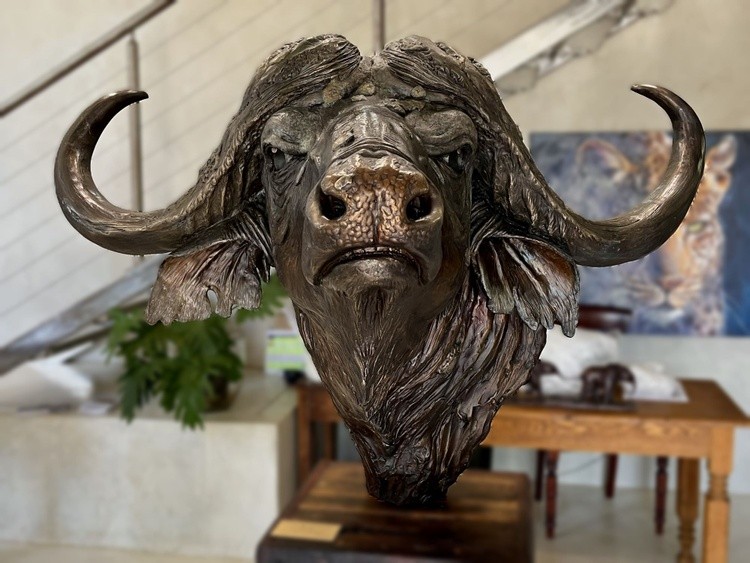 Cape Buffalo (Lifesize) Bronze, Ltd Ed of 15 only