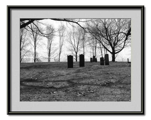 pioneer cemetary