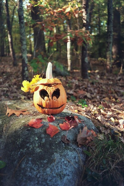 Funny Pumpkin