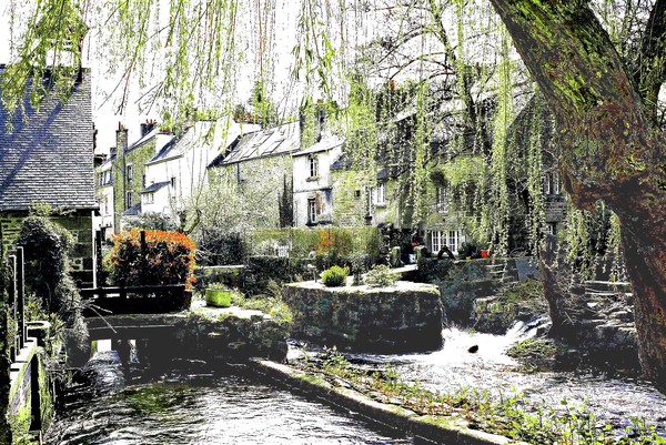 Weeping Willow (Pont-Aven Brittany)