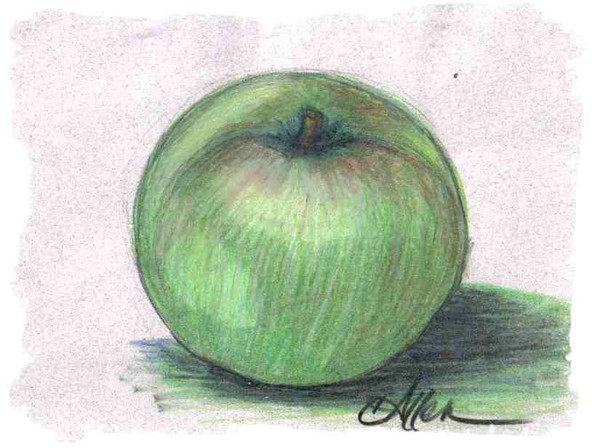 still life apple