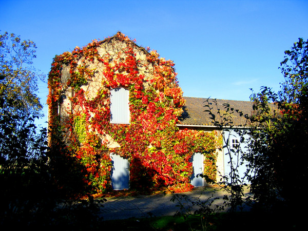 nelly´s barn