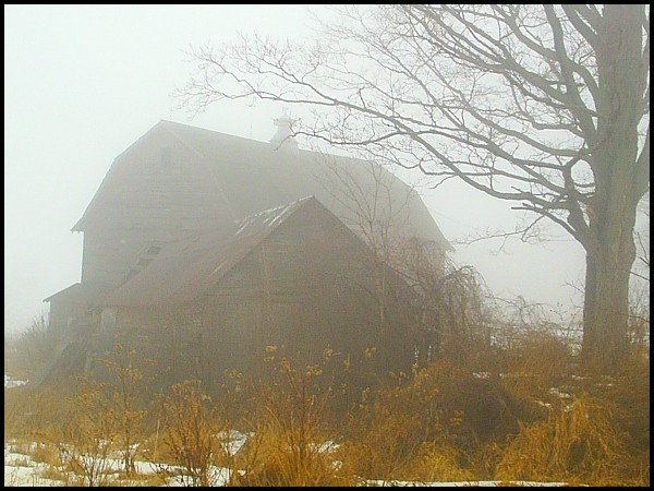 Barn In Fog