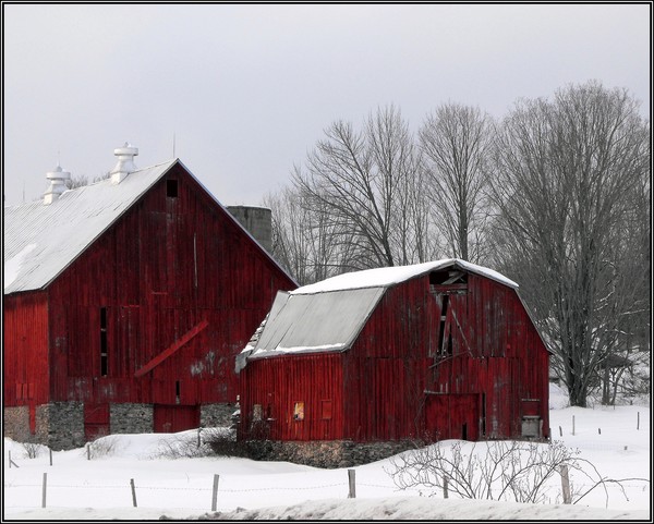 Lake Delta  Farm