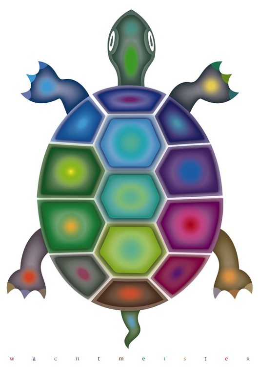Color Composed Turtle