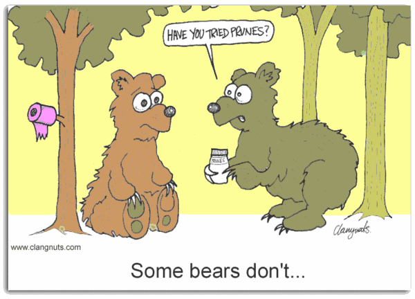 Bears in woods