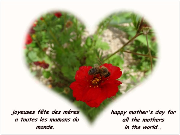 for all  the mothers