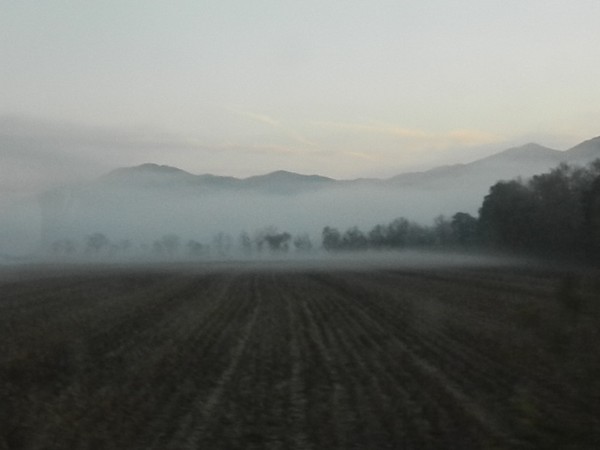 Smokey Mountain Valley1