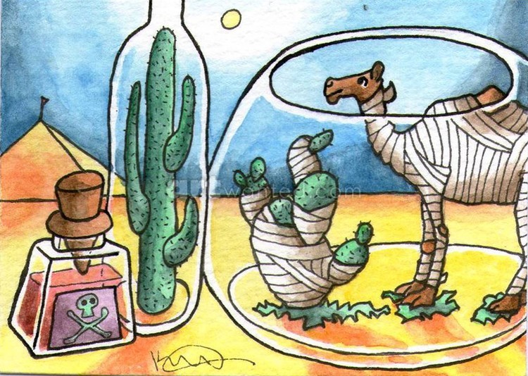 2018 (03 - 18) Camel in a Jar
