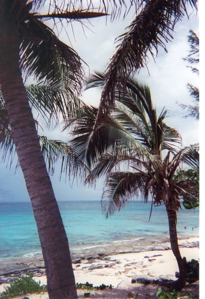 Bahama Paradise