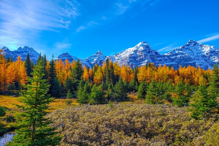 Banff National park during autumn