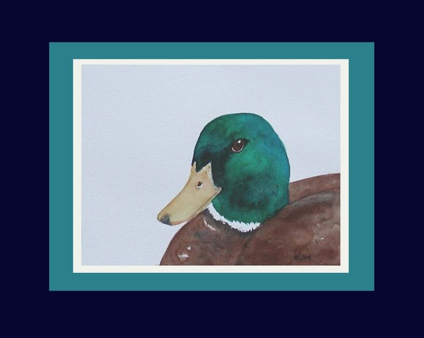 A Mallard For Stan