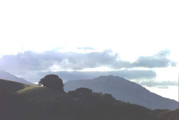 Mt. Diablo from Morgan Territory.