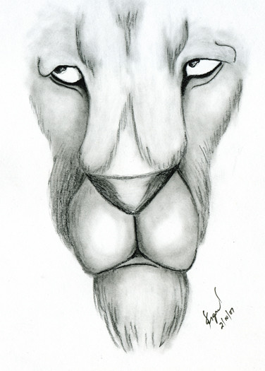 Lion in Charcoal
