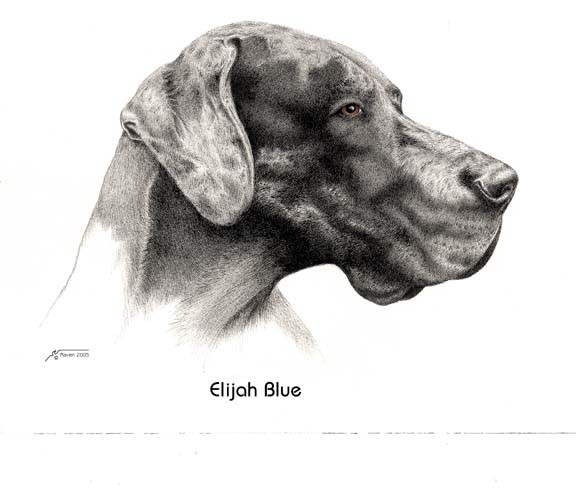 Elijah Blue