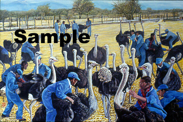 Ostrich Farm