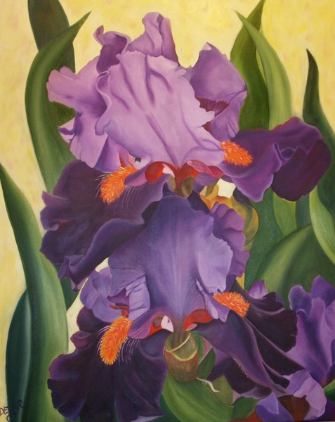 Irises