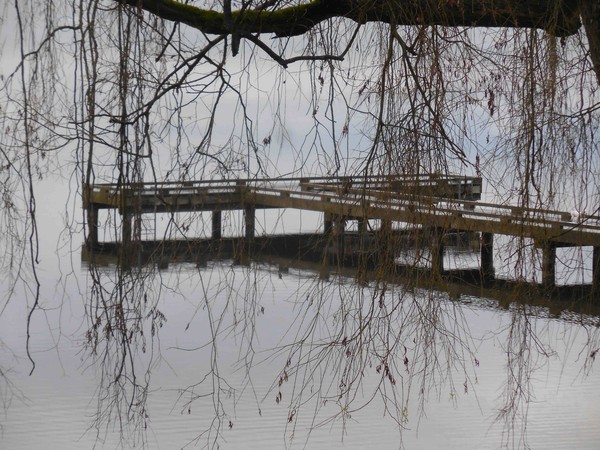 FISHING DOCK AT MADRONA