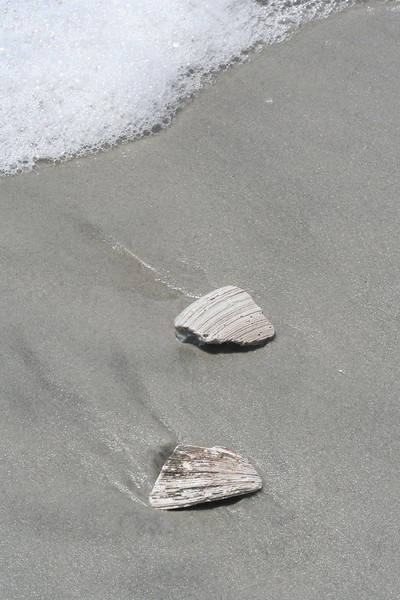 Two Shells