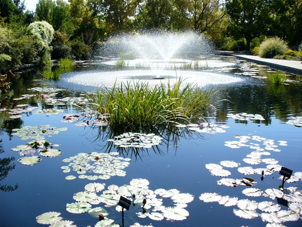 Denver Botanic Garden Fountain