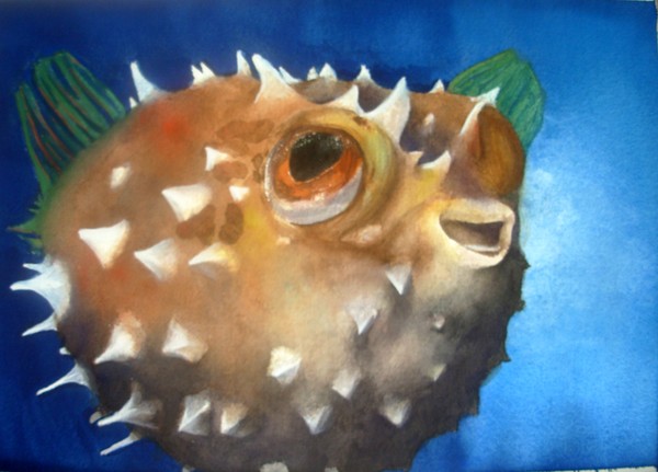 Blowfish