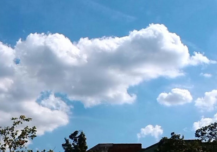 Fluffy Dog Cloud