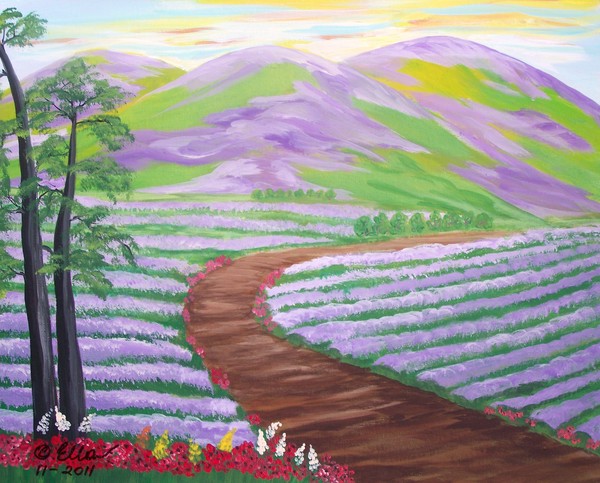 Lavender Fields