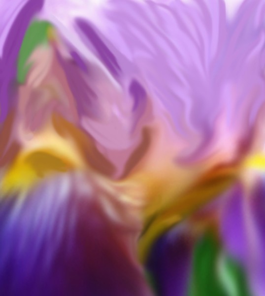 Dancing Orchid Abstract