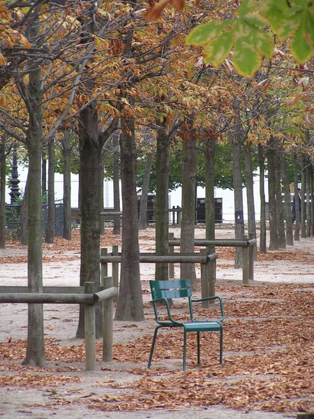 Autumn in the Tuileries