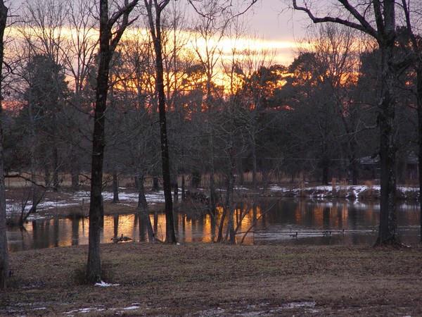 Sunset On The Pond