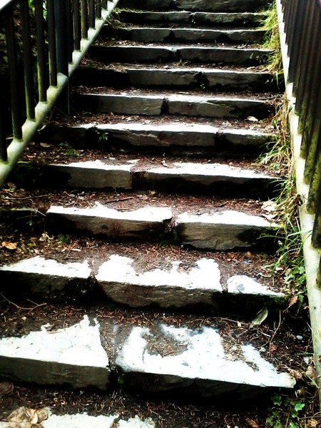 Moss on Stairs