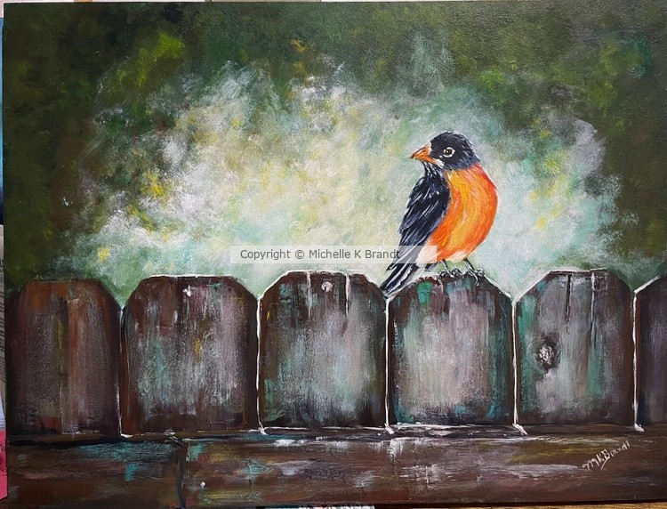 robin on a frosty fence