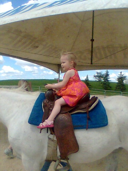 Scout riding a horse